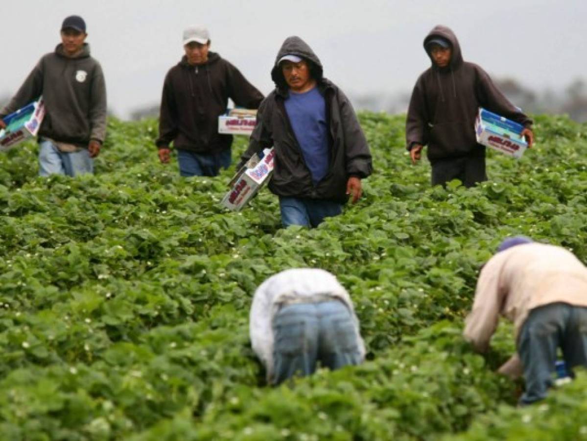 Texas pide a empresas no contratar a inmigrantes sin papeles