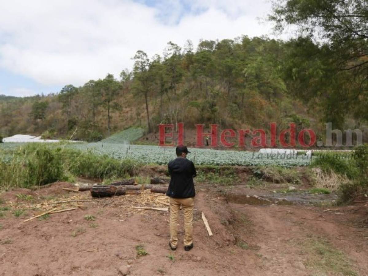 El bombero revivió los dolorosos recuerdos del fatídico 25 de abril. Foto Marvin Salgado| EL HERALDO