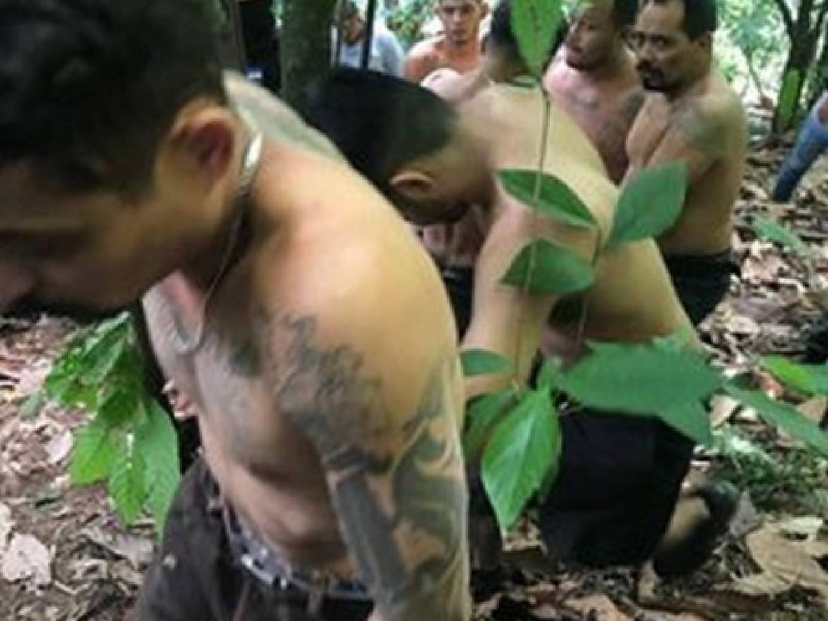 Presidente Hernández envía mensaje a maras y pandillas tras captura en El Merendón