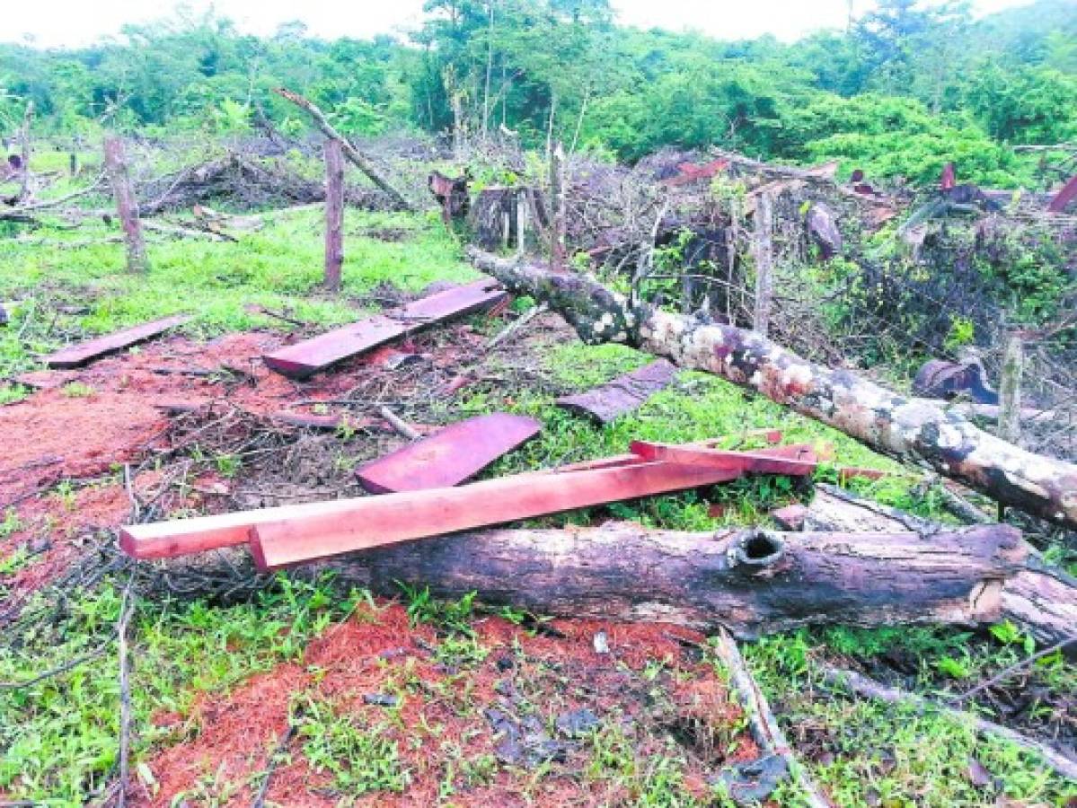 Extraditable Arnulfo Fagot es parte de una poderosa estructura narco