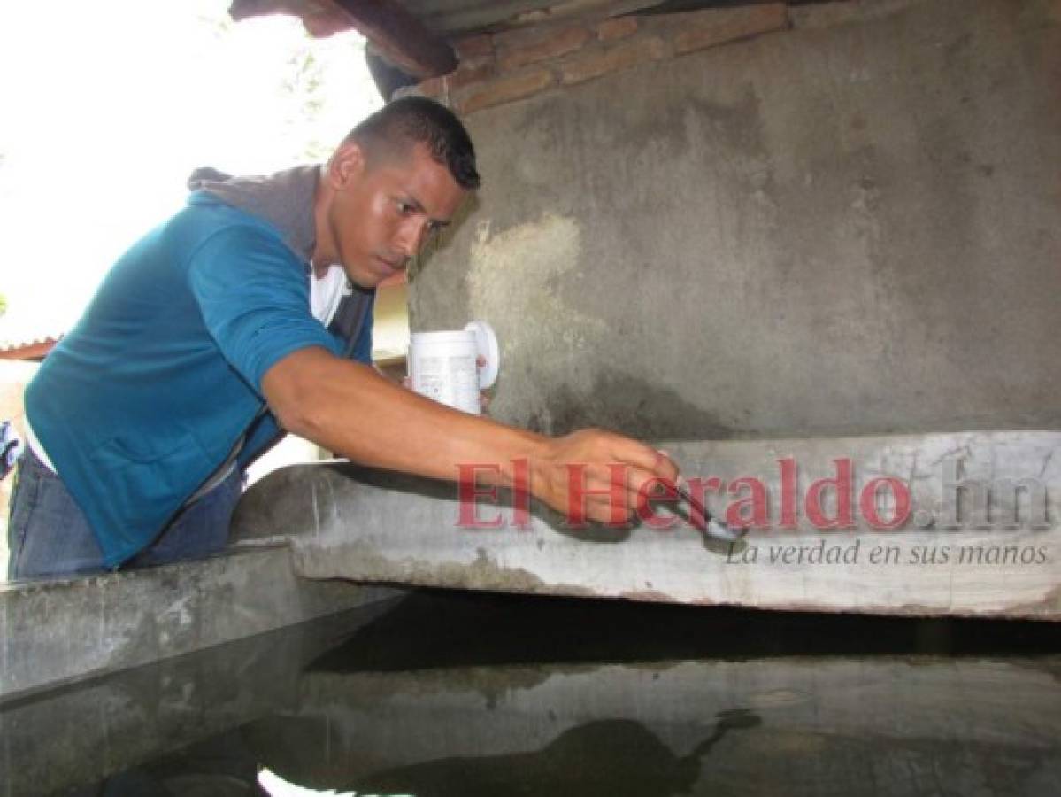 Honduras: Choluteca se queda sin BTI para inmunizar viviendas