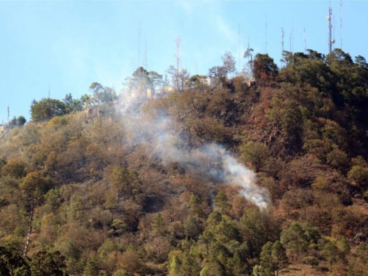 En un 22% aumentan los incendios en zacateras