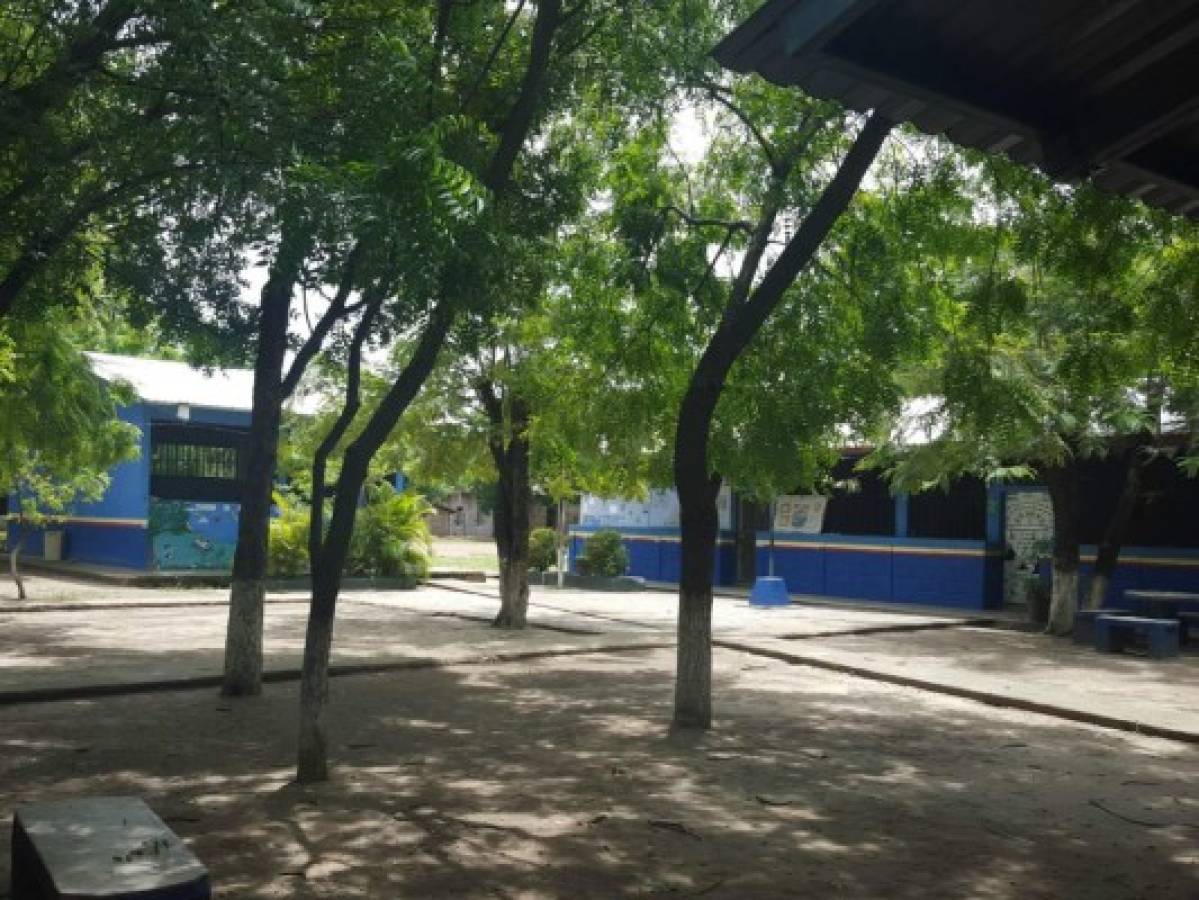 Inicia el cambio verde en escuelas de la zona sur