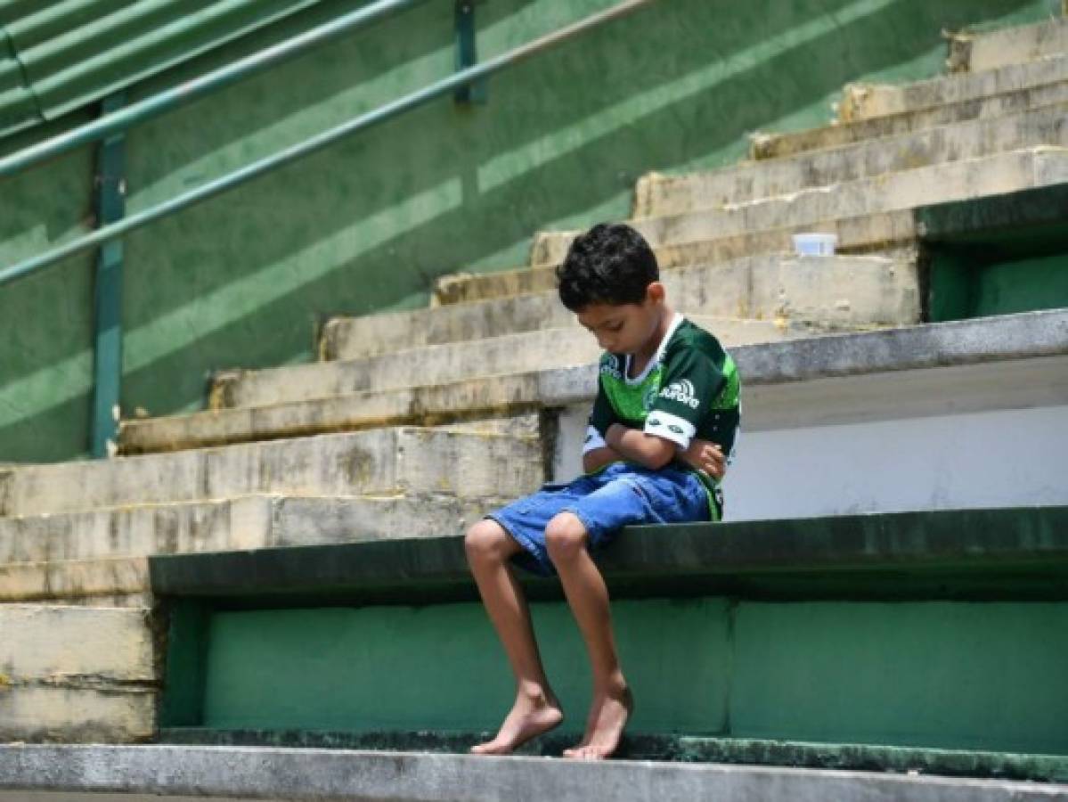 Esta imagen ha causado conmoción en el mundo. Foto: AFP