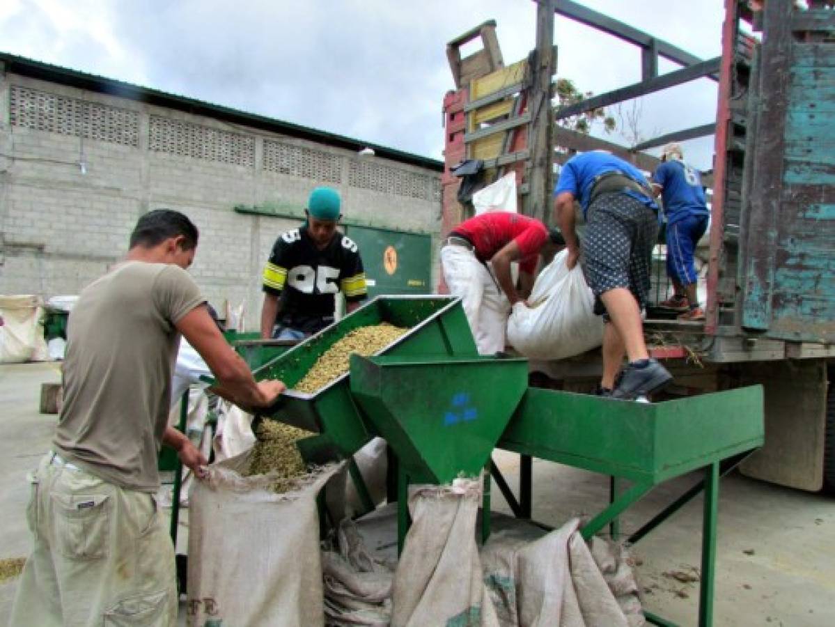 Conozca las propuestas económicas de la Alianza de Oposición