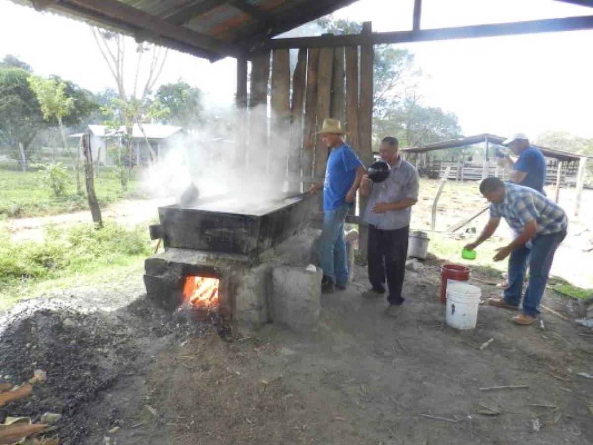 Olancho, la tierra del vino de Coyol