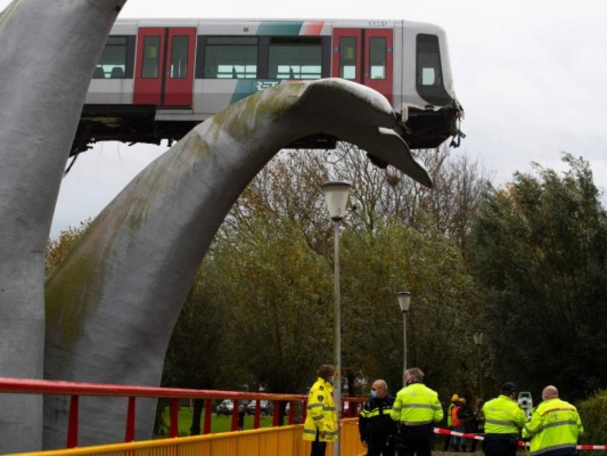 La cola de una ballena evita que un vagón de tren caiga en Holanda