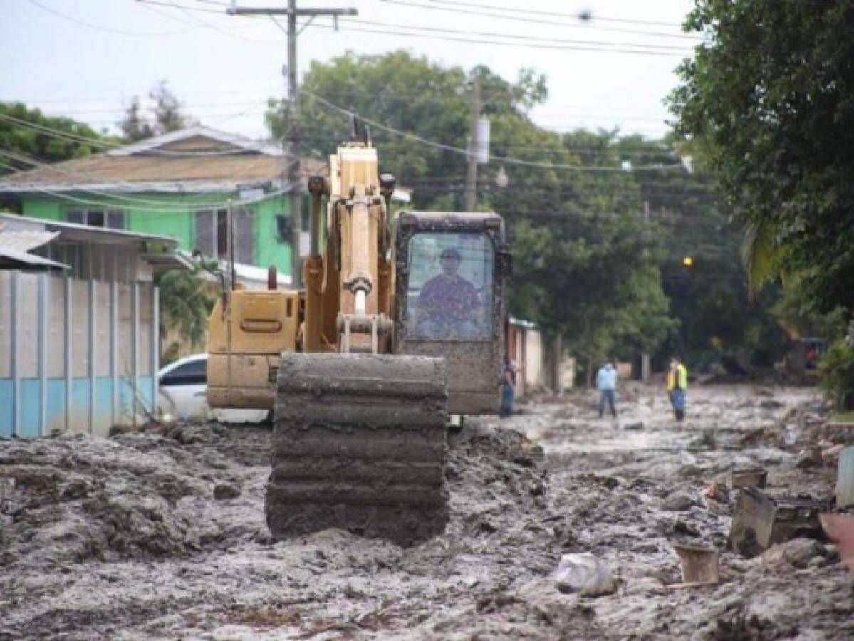 A paso de tortuga limpieza en zonas inundadas en el Valle de Sula