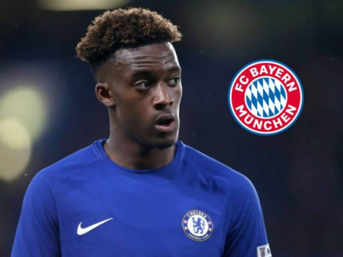 Bayern Múnich cerca de fichar a la joven perla del Chelsea Hudson-Odoi