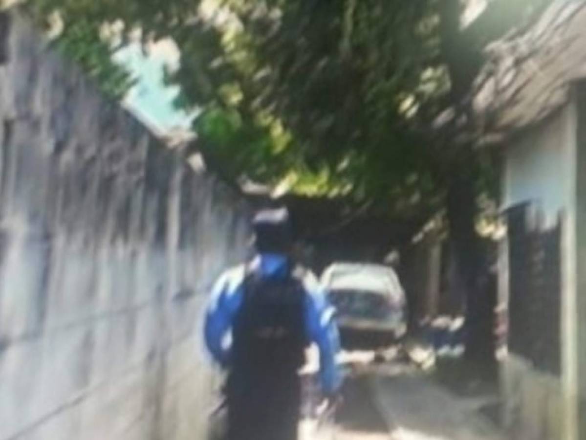 Hombre muere electrocutado al intentar bajar mangos de un árbol en San Pedro Sula