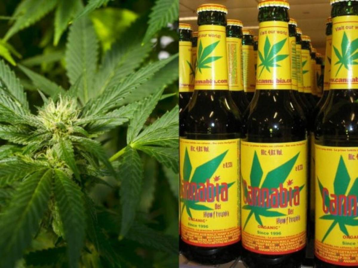 Cerveceras apuestan al cannabis para abrir nuevos mercados 