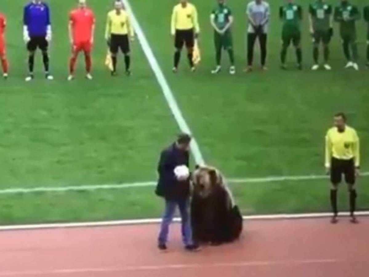 El oso llegó con su entrenador al partido para realizar el saque de honor en el partido.