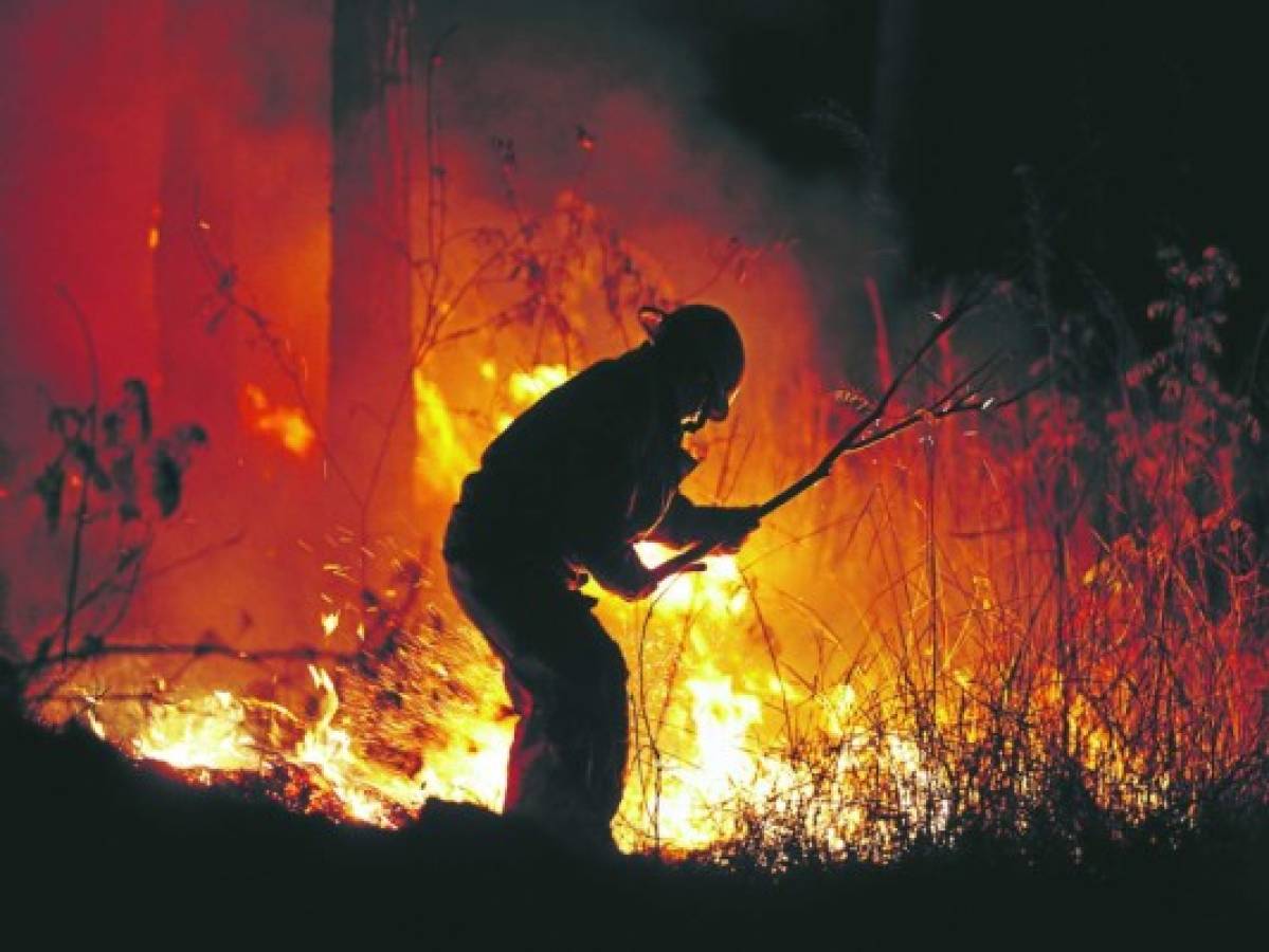 Asignan personal para prevenir los incendios forestales