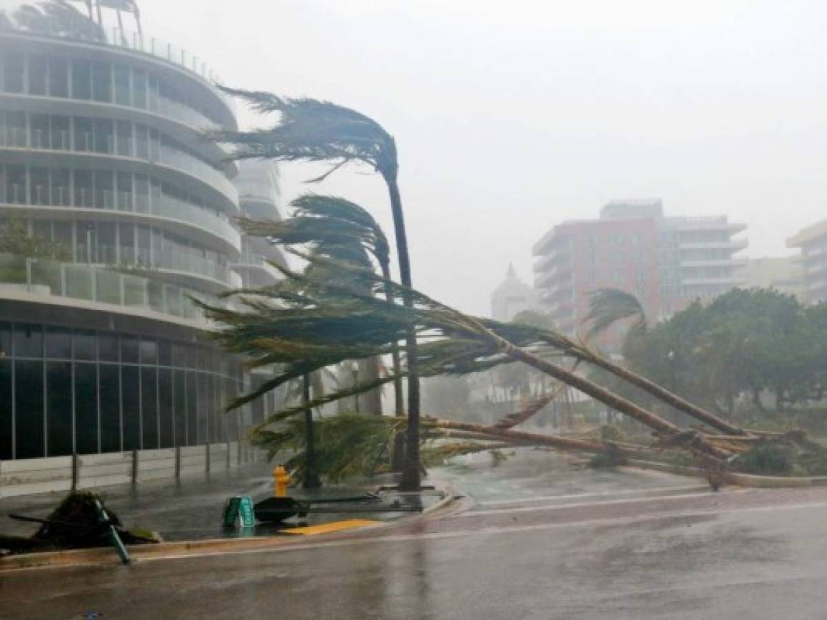 ¿Cómo afecta a la economía de Estados Unidos los daños provocados por Irma y Harvey?