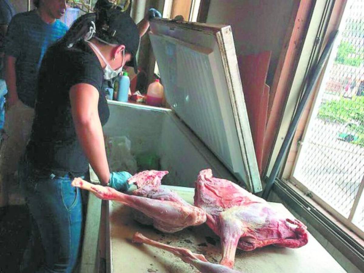 El Ministerio Público espera análisis de carne decomisada