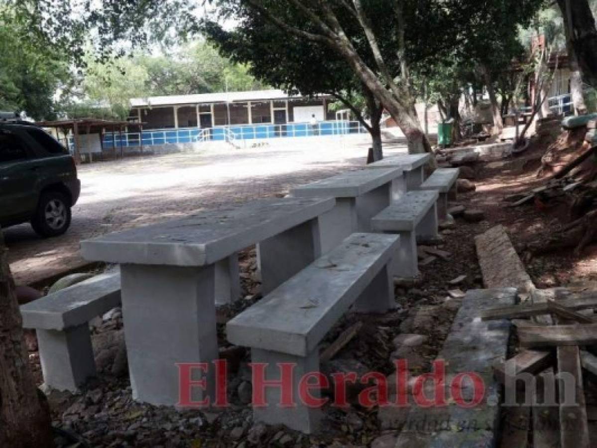 En el CEB Monseñor Jacobo Cáceres no se fumigaron sus instalaciones. Foto: El Heraldo