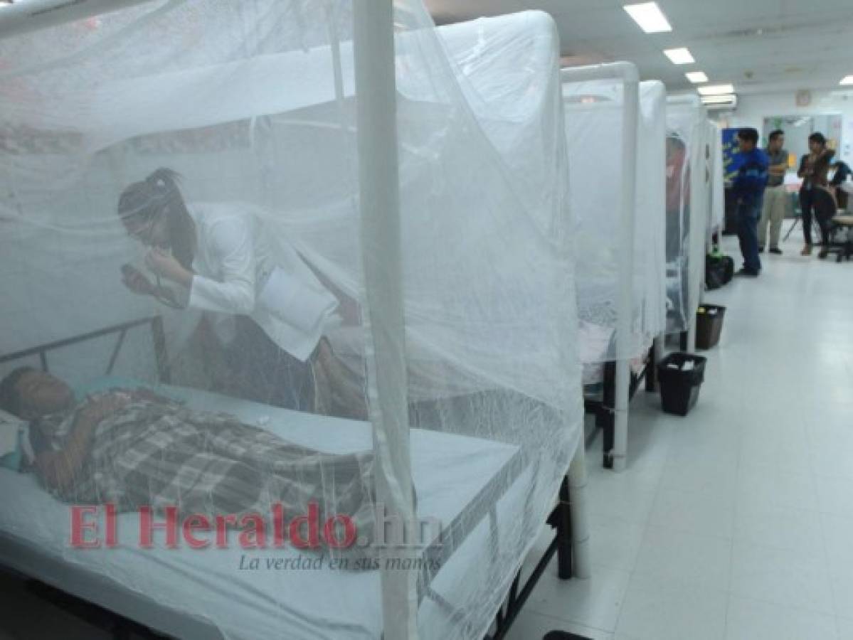Honduras: Intervendrán 20 municipios con más casos de dengue
