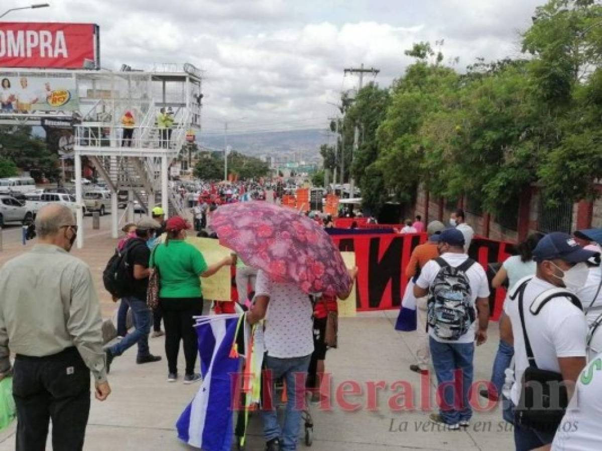 Realizan protesta en oposición a las ZEDE en algunas regiones del país