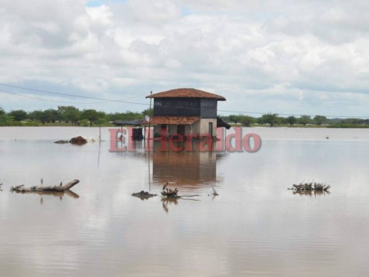 El sur de Honduras urge ayuda ante pérdida de cultivos por las lluvias