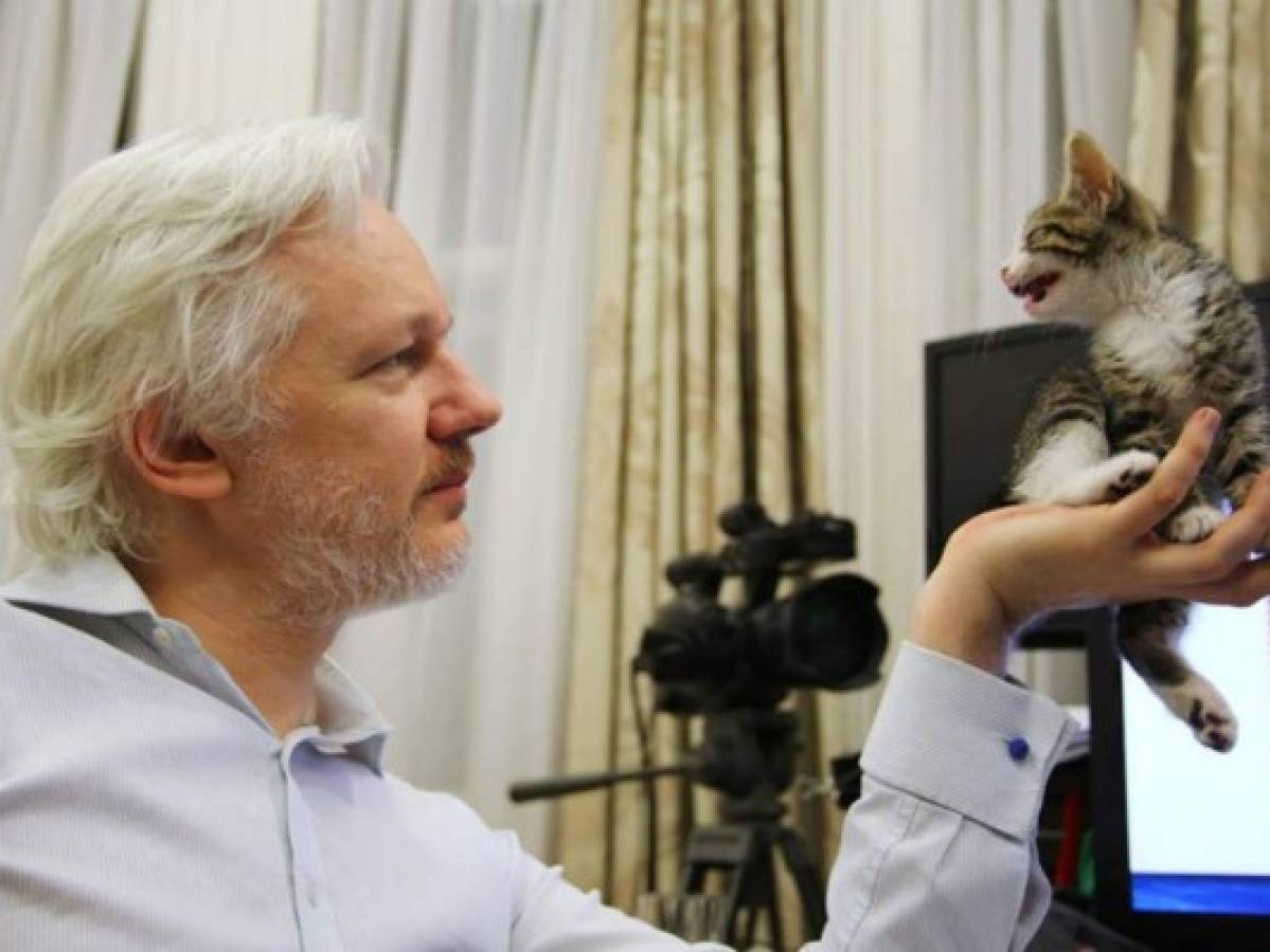 ¿Qué pasó con 'James', el gato de Julian Assange?