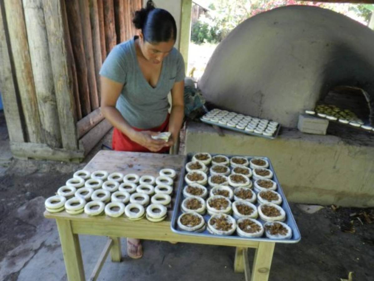 Olancho, la tierra del vino de Coyol