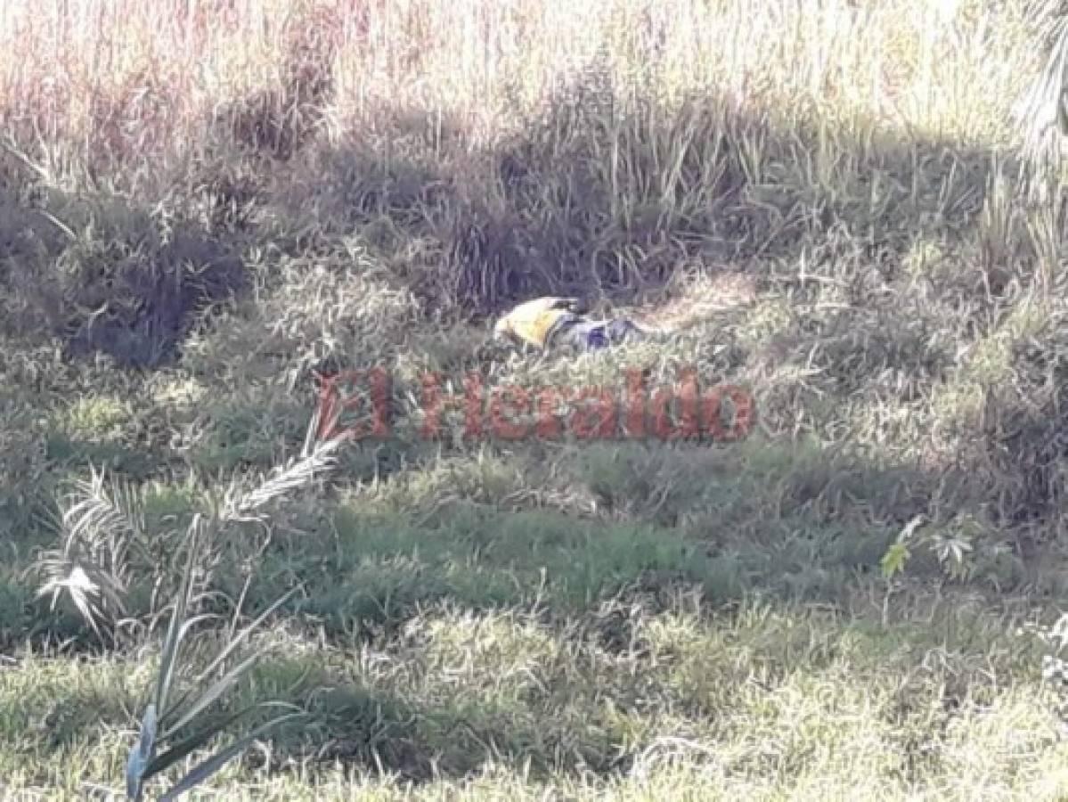 El cadáver estaba tirado en la maleza. Foto Estalin Irías| EL HERALDO