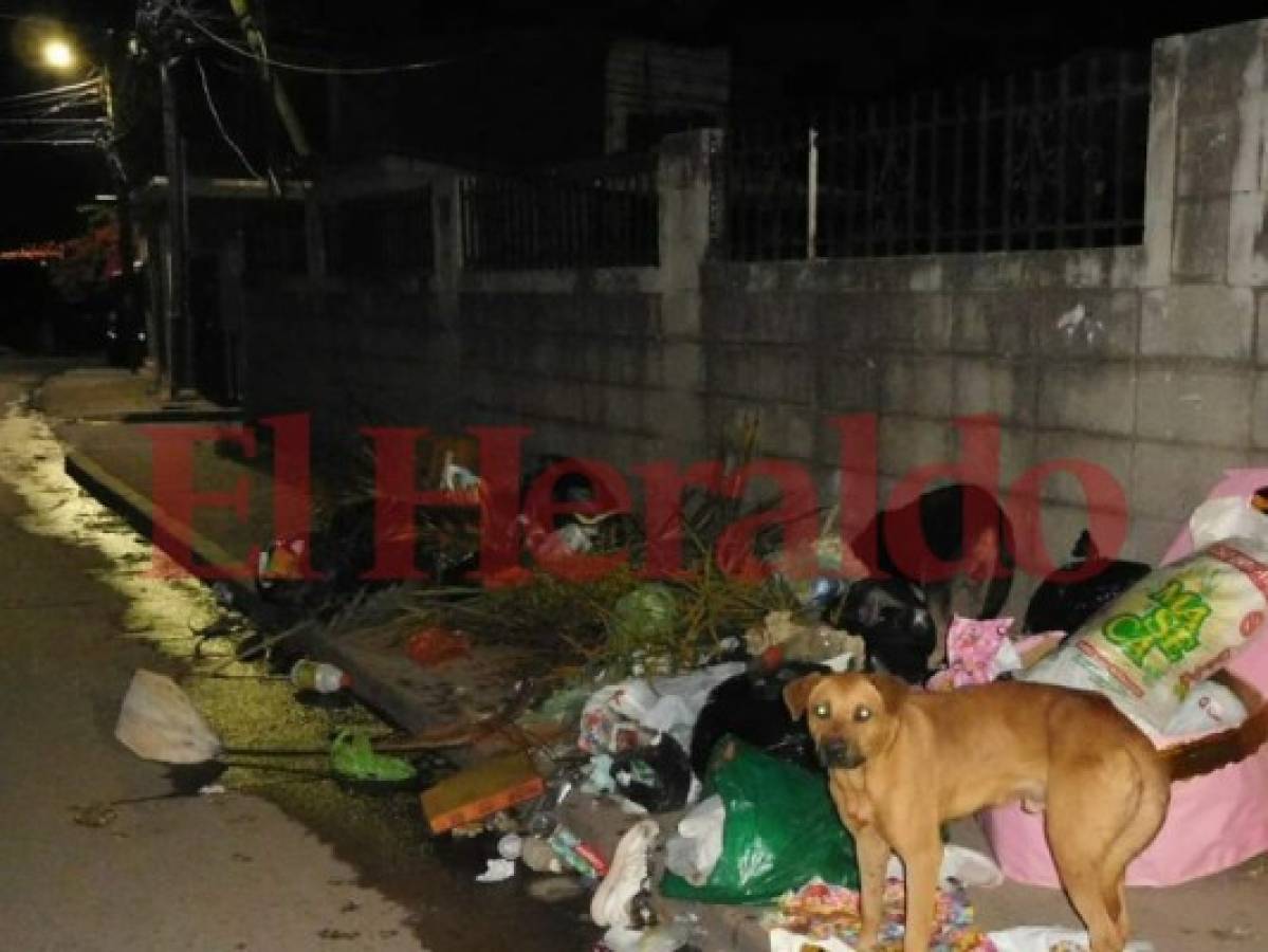 En la capital de Honduras hay un contenedor de basura por cada 4,524 personas