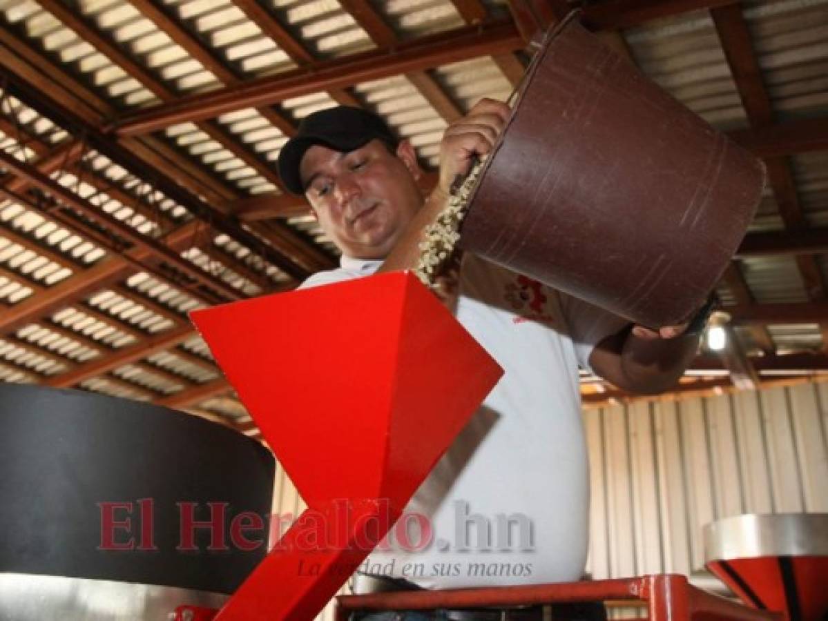 El hondureño que construyó sus propias tostadoras y molinos de café artesanales