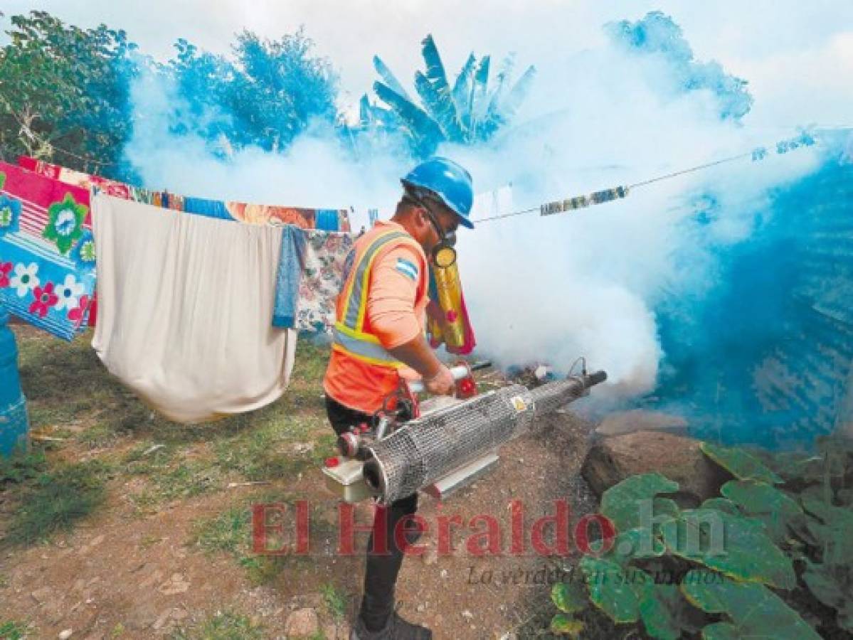 Lucha contra el dengue se extiende a nivel nacional