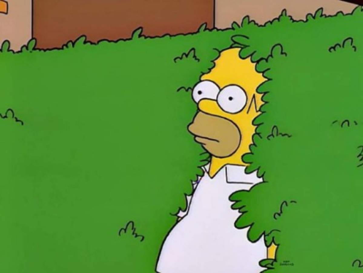 FOTO: Así se vería Homero Simpson en la vida real