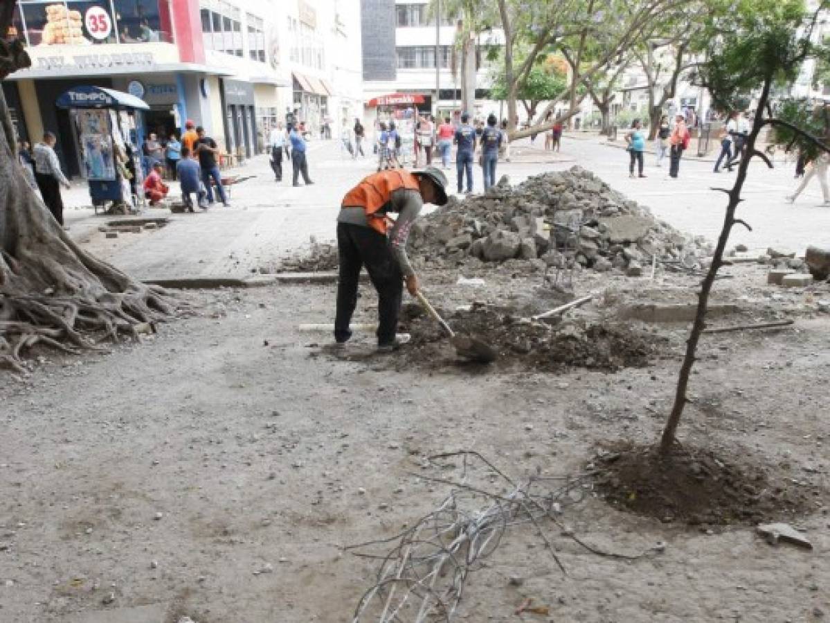 Detienen retiro de esculturas en el Parque Central