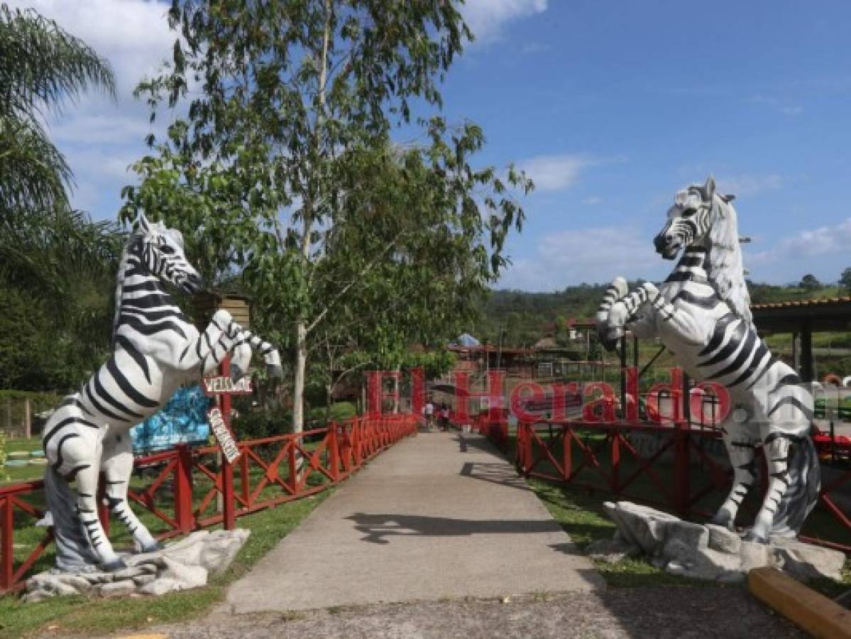 Autoridades no apoyan en el mantenimiento del zoológico Joya Grande