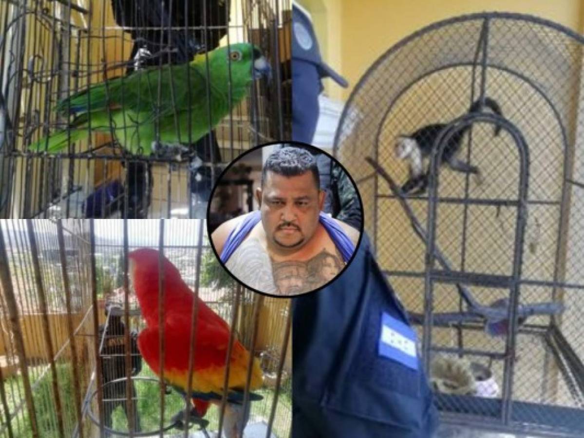 El 'Cholo Houston' tenía animales exóticos en su lujosa vivienda