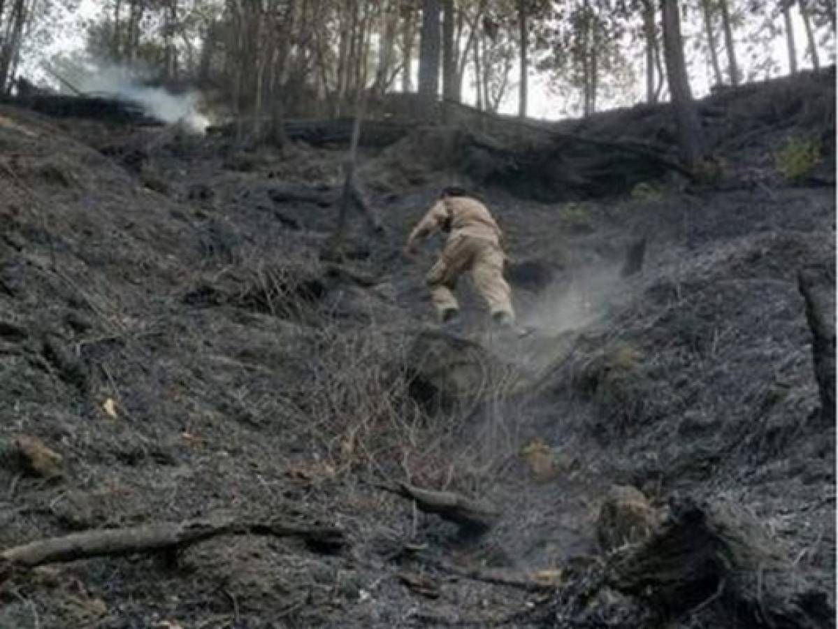 Incendios arrasan con 19 mil hectáreas de bosque en primeros tres meses de 2018