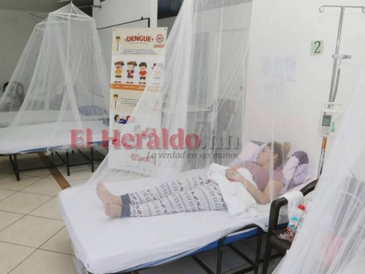 Por dengue grave han fallecido seis hondureños en lo que va de 2021