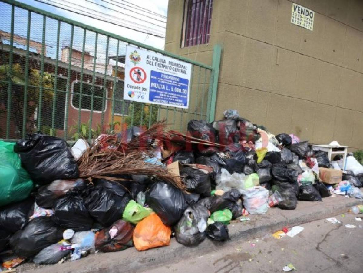 Rótulos municipales que prohíben botar basura son una burla en la capital de Honduras