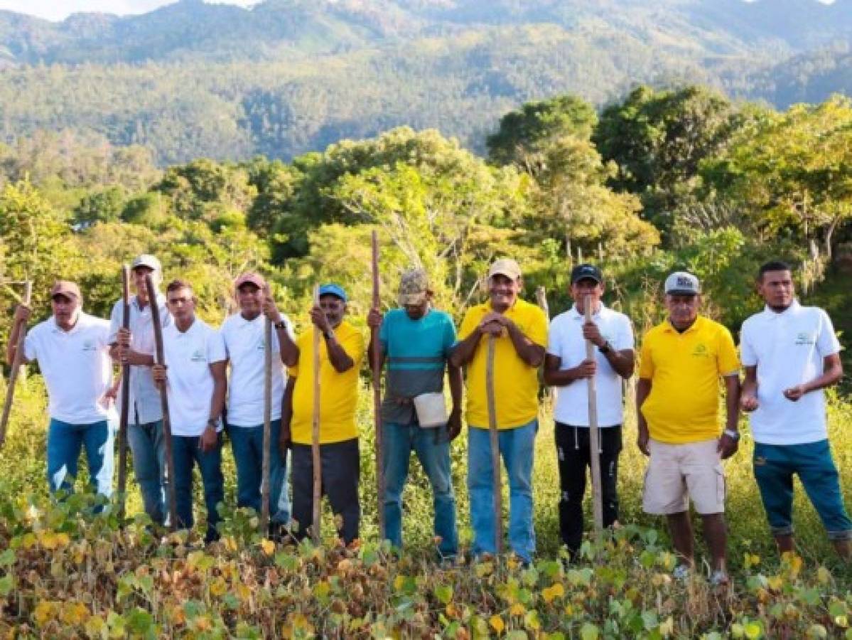 Lanzan primera plataforma para compra y venta de productos agrícolas en Honduras