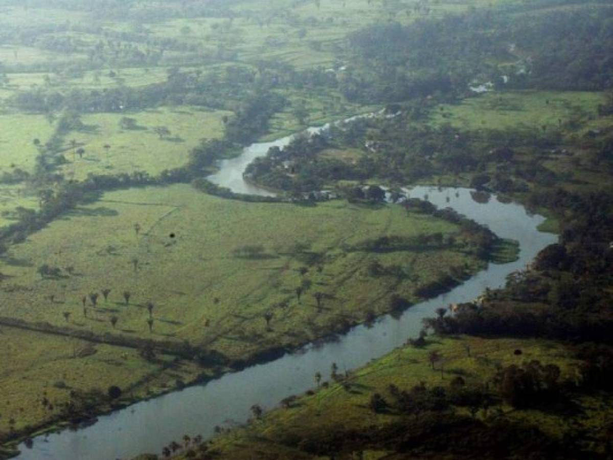 Con tecnología de la NASA detectarán la deforestación en la Biósfera del Río Plátano