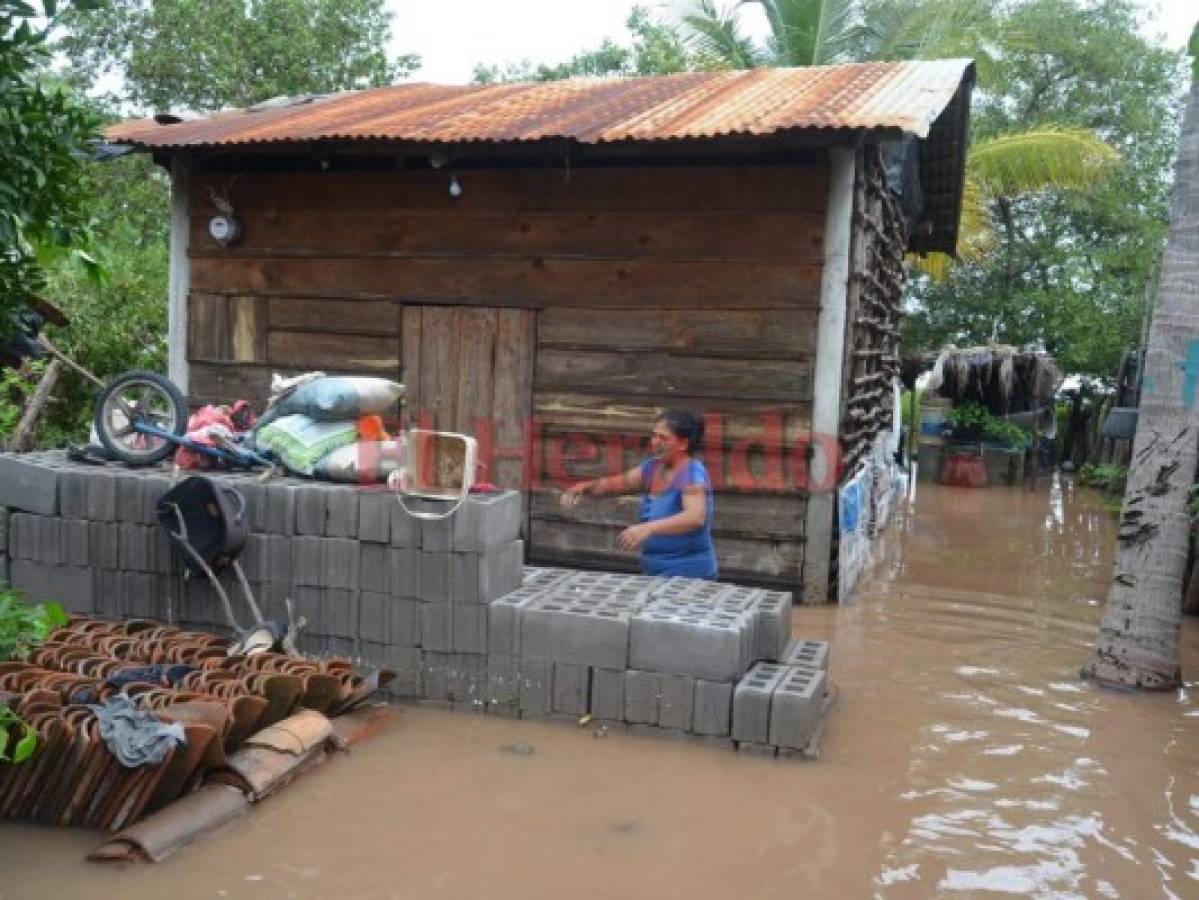 El sur de Honduras urge ayuda ante pérdida de cultivos por las lluvias