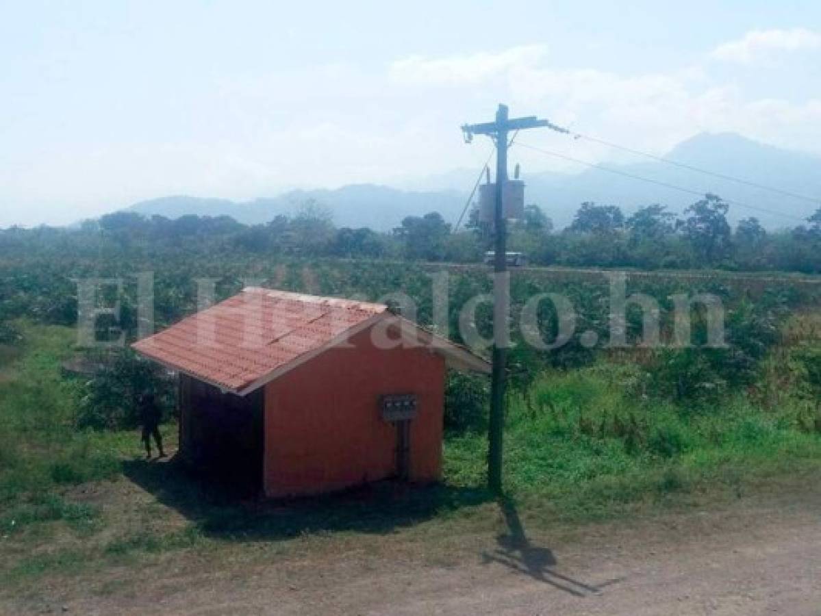 Honduras: La lujosa vida que rodeaba al presunto capo Wilter Blanco