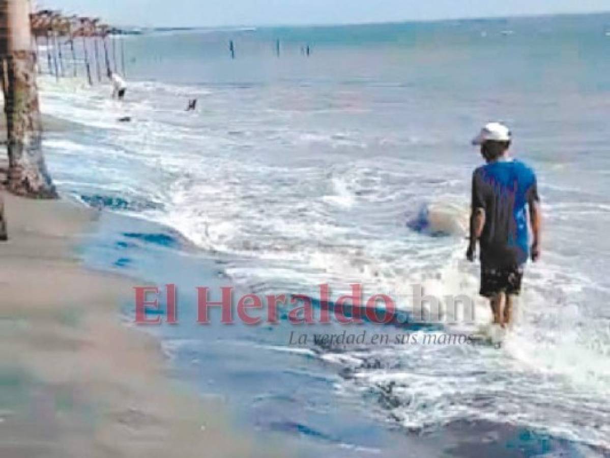 En alerta Codel de Cedeño por fuerte oleaje en la costa