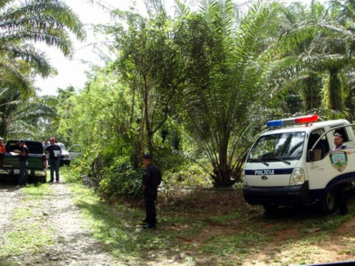 Forenses exhuman cuerpos de muertos por conflictos de tierra y narcotráfico en Honduras