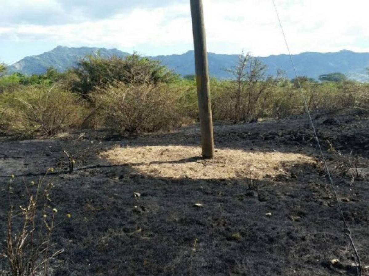 Empresa Energía Honduras inició trabajos preventivos contra incendios en época de verano  