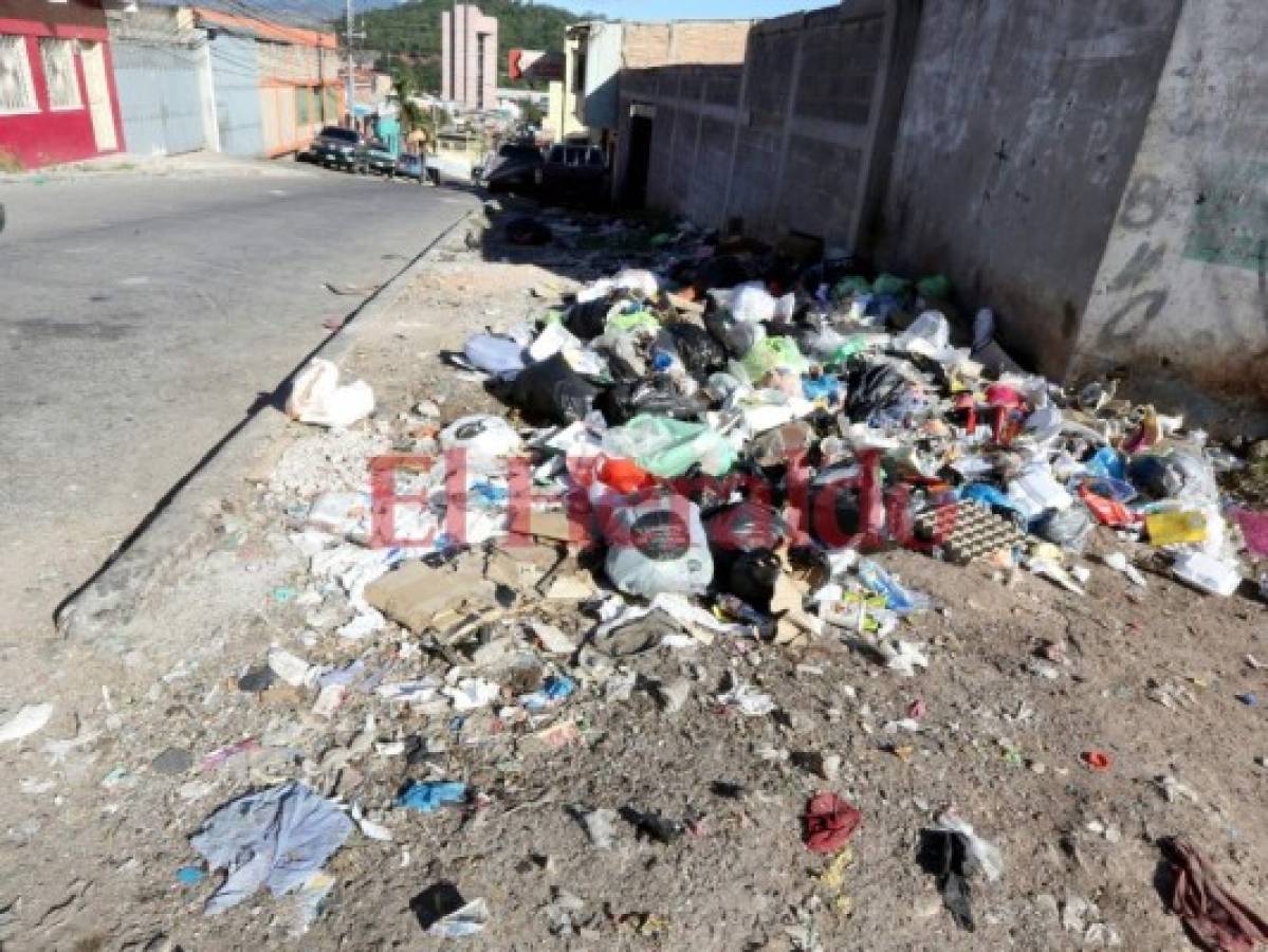 Invadido de basura y malos olores está el barrio Perpetuo Socorro de la capital de Honduras  