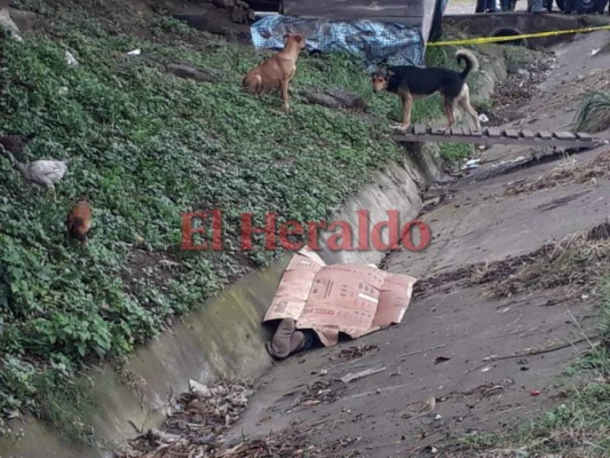 Encuentran un hombre sin vida cerca del crematorio municipal de la capital