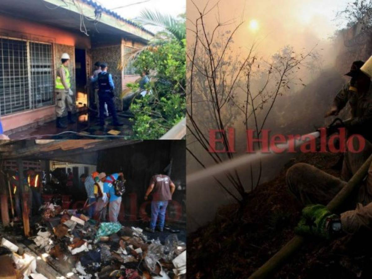 Incendios en Honduras han dejado muertes, pérdidas materiales y bosques quemados