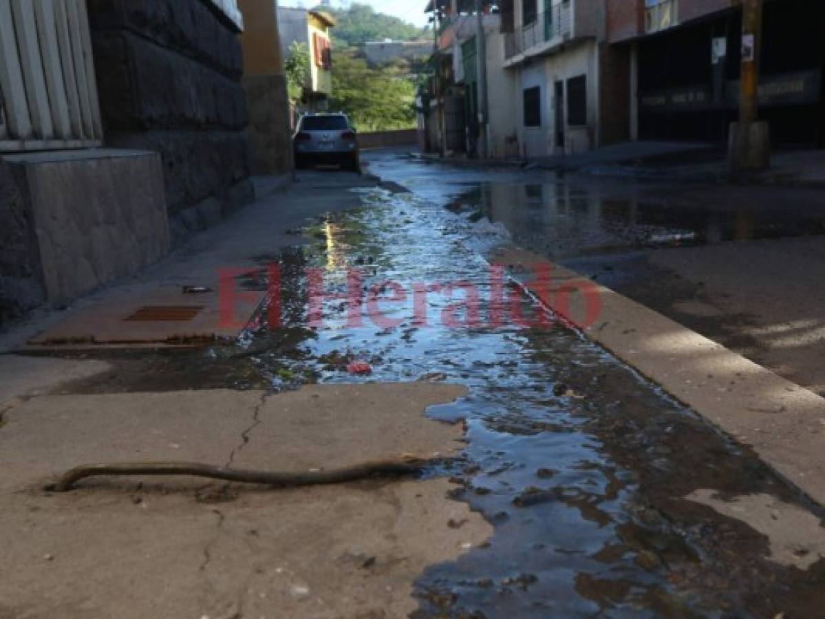 Inundada de aguas negras permanece la calle Adolfo Zúñiga del centro capitalino