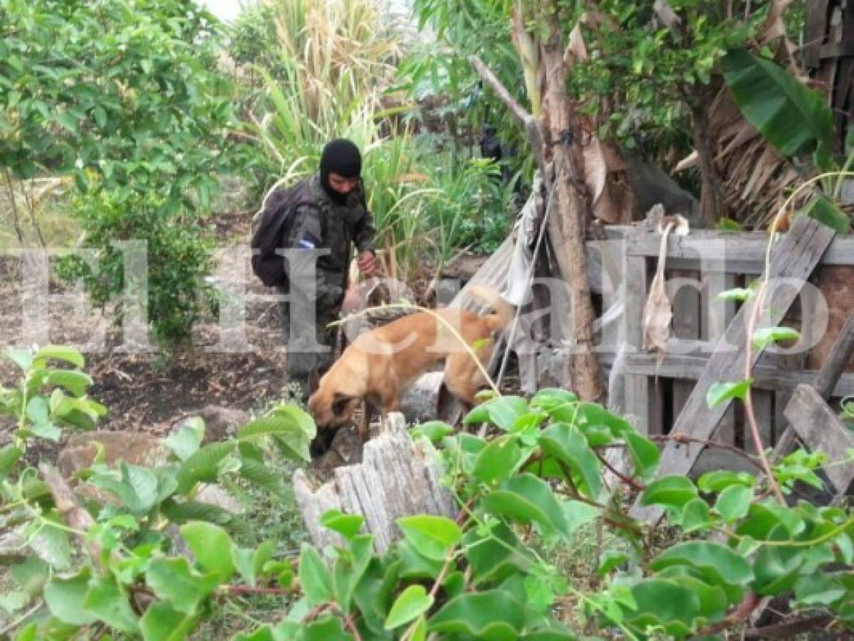 Honduras: Al menos 25 capturas deja operación 'Tornado' este miércoles