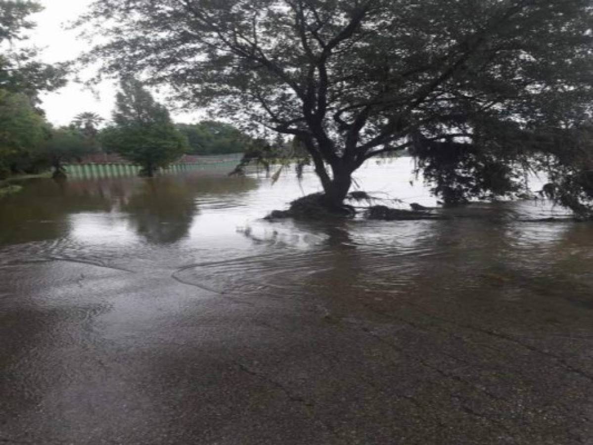 Hondureños en Texas no pueden salir de sus casas por Harvey