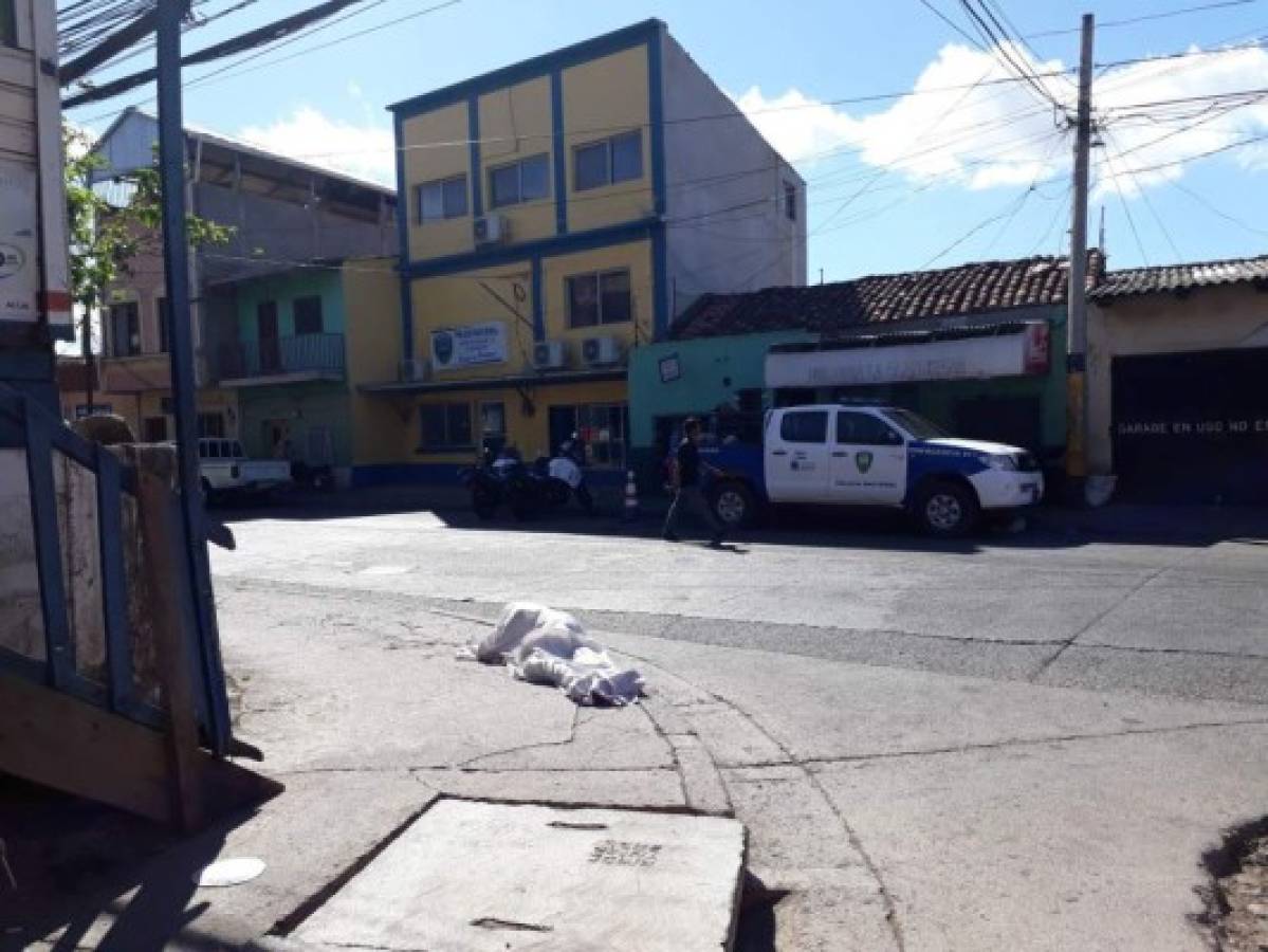 Hallan persona asesinada aparentemente a golpes en Choloma 